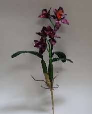 OR09 Purple Cattleya Orchid Stem.