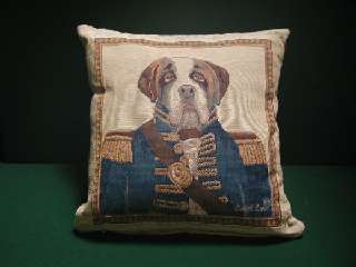 A10 Admiral Growler Tapestry Cushion.